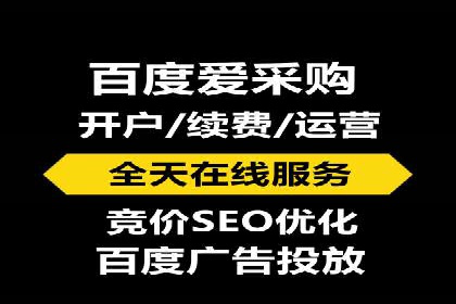 百度广告投放策略与效果评估案例