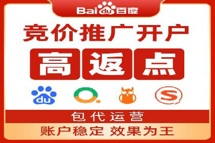 SEM专员案例：数据分析与优化
